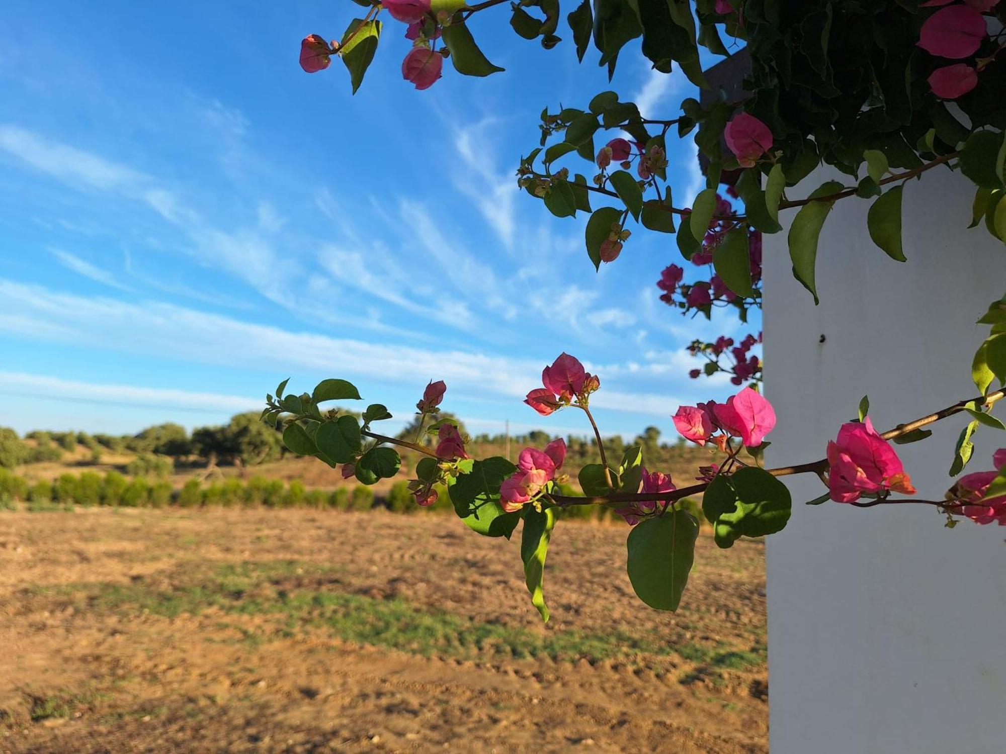 Séjour à la campagne Monte Da Isabel
